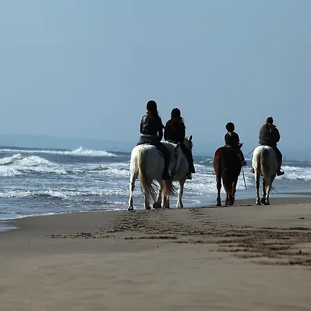 Hotel Belle Vue D'angleterre 2*